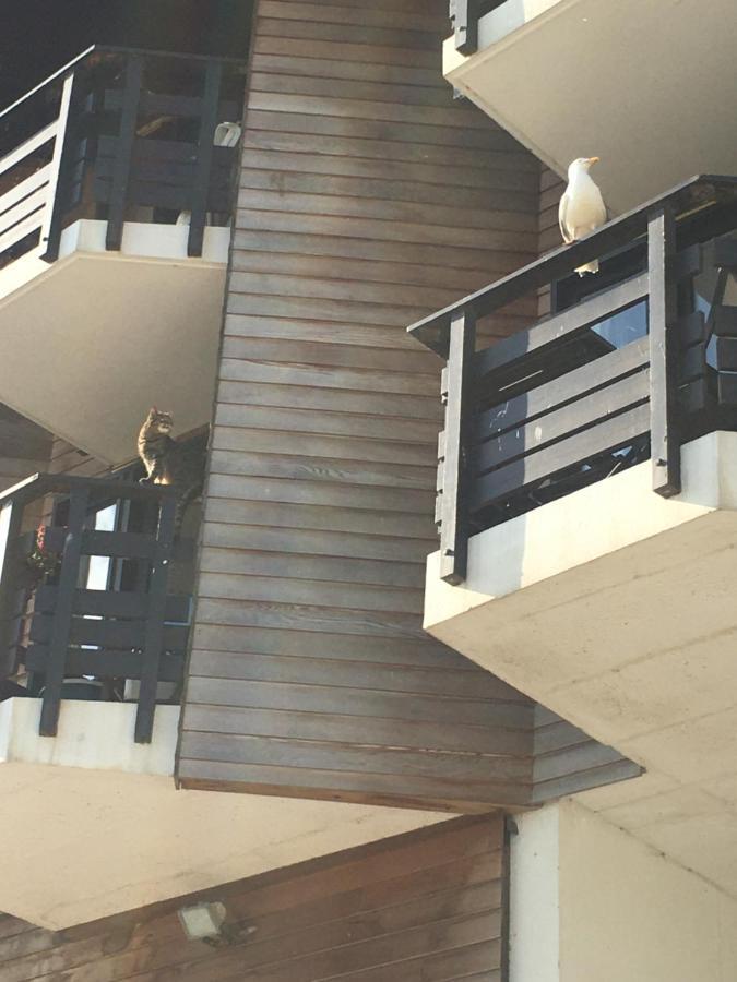 Mon Balcon Face A La Mer - Les Marinas Deauville Eksteriør billede